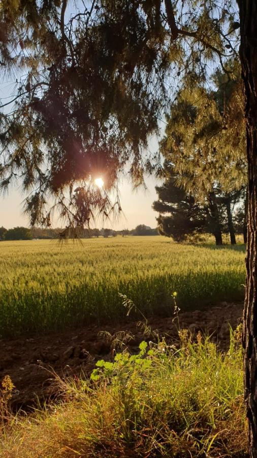 Masseria Vivi Il Salento Santa Caterina  Exterior foto
