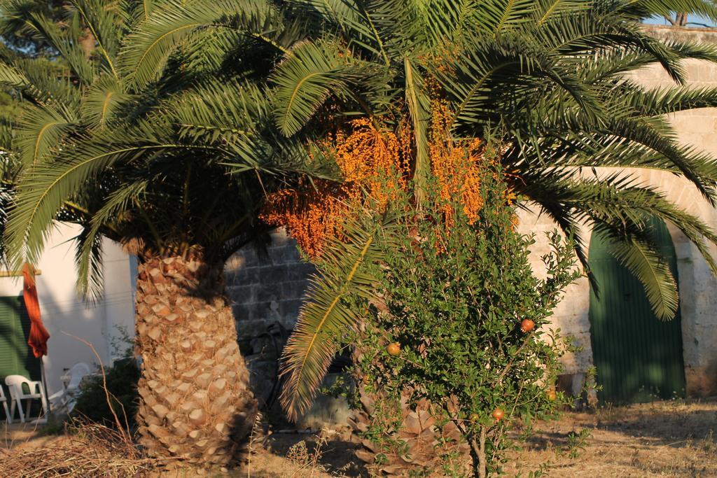 Masseria Vivi Il Salento Santa Caterina  Habitación foto