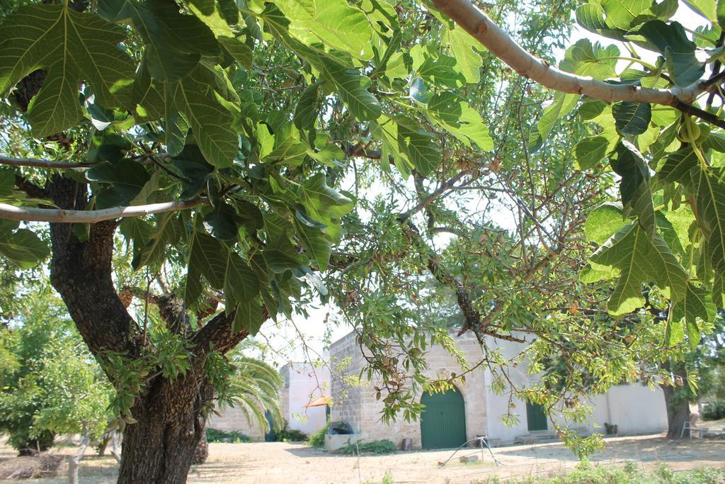 Masseria Vivi Il Salento Santa Caterina  Habitación foto