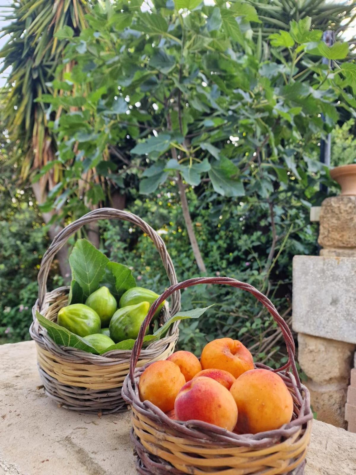 Masseria Vivi Il Salento Santa Caterina  Exterior foto