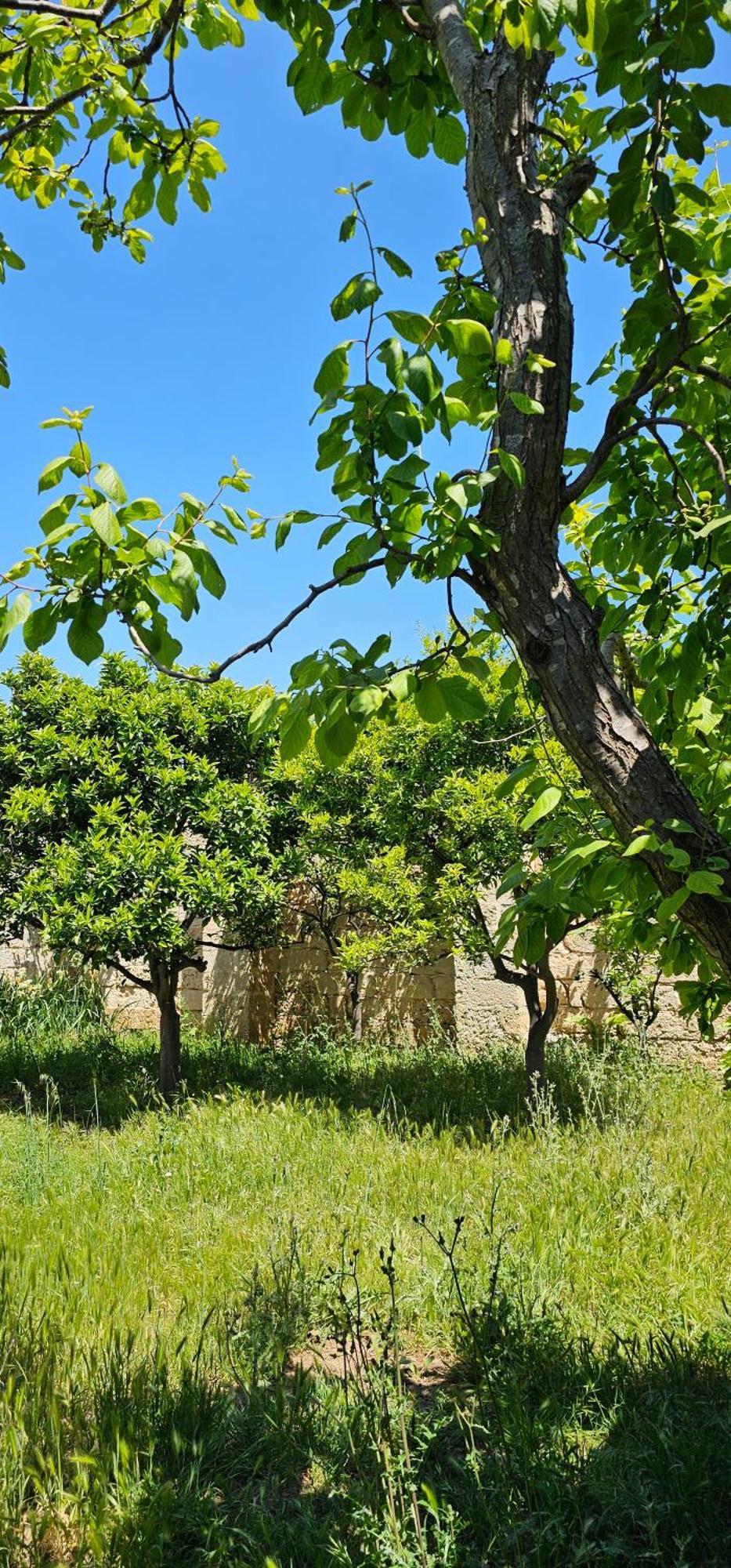 Masseria Vivi Il Salento Santa Caterina  Exterior foto